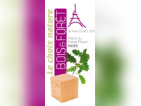 Bois et Forêt, Place du Palais Royal