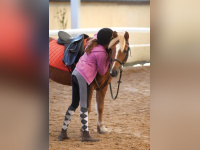 La Fête du Cheval au Jardin d'Acclimatation