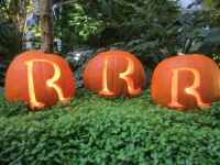 Atelier Halloween à l'Hôtel Renaissance Paris Trocadéro