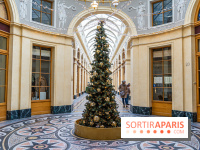 11 spots photos de Noël canons à Paris 2023 pour profiter des illuminations magiques - galerie Vivienne