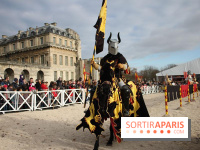Les Enchanteurs de Noël, le village médiéval au Château de Vincennes