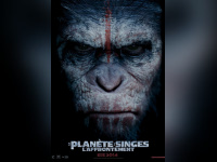La planète des singes: l'affrontement