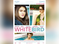 white bird