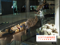 Aquarium de Paris : La Fabrique des profondeurs, l'exposition de Lionel Sabatté