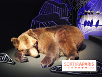 Exposition Nuit au Muséum Natinaol d'Histoire Naturelle