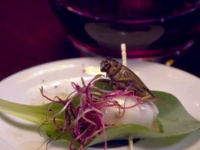 Le Festin Nu : le bar où manger des insectes à Paris 