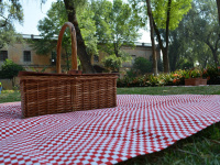 Fête Nationale du 14 juillet à Sainte-Geneviève-des-Bois (91) : Feu d'artifice annulé