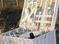 Fête Nationale à Savigny-le-Temple (77) : pique-nique, soirée dansante et animations