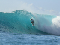 JO de Paris 2024 : qui sont les athlètes médaillés en surf ? Le récapitulatif global