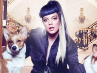 Lilly Allen en concert au Zénith de Paris en novembre 2014