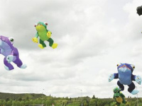 Animations Cerf-Volant sur les Berges de Seine