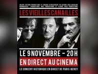 Les Vieilles Canailles : retransmission du concert en direct au cinéma