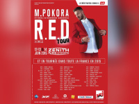 M. Pokora en concerts au Zénith de Paris en juin 2015