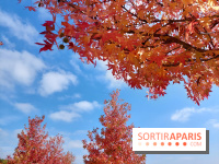 Que faire ce week-end à Paris et en Île-de-France, les 17, 18 et 19 octobre 2025 