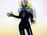 Björk : sortie avancée pour "Vulnicura" 