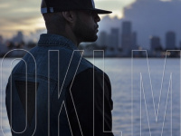 Booba en concert à Paris Bercy en décembre 2015