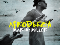 Marcus Miller en concert à l’Olympia de Paris en 2016