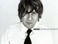 Arno en concert au Bataclan de Paris en 2016