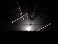 The Peacock Society 2016, édition hivernale, au Parc Floral de Paris