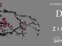 Darius X Zimmer au Zig Zag Club 