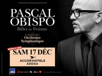 Pascal Obispo en concert à l’Arena Bercy de Paris en décembre 2016