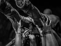 Yard Party au Showcase avec PNL