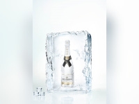 La "Maison du Glaçon" à Paris, édition 2016