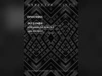 Open Vibes au Rex Club avec Hermann