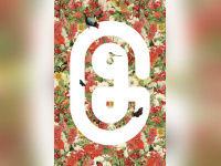 InFiné fête ses 10 ans à La Gaîté Lyrique