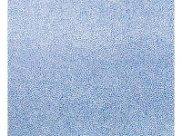 Peter Von Poehl en showcase à la Fnac des Ternes