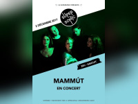 Mammút en concert au Supersonic