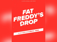 Fat Freddy’s Drop en concert au Zénith de Paris en octobre 2017