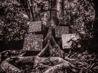 Kamasi Washington en concert au Bataclan de Paris en mai 2018