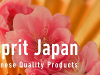 Pop Up Store Esprit Japan à Paris