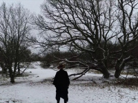 Bror Gunnar Jansson en concert à l'Alhambra de Paris en octobre 2019