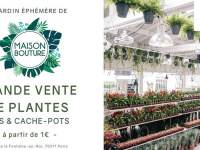 Le Jardin Éphémère de Maison Bouture : nouvelle grande vente de plantes à Paris