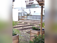 Laïa : nouvelle table ensoleillée à Paris attendue en janvier 2020