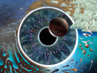 Confinement : Pink Floyd propose une série de concerts à suivre gratuitement sur Youtube