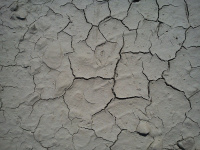 Météo : canicule, sécheresse... à quoi faut-il s’attendre cet été en France ? 