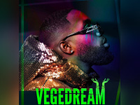 Vegedream en concert à l'Accor Arena de Paris en juin 2021