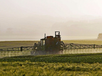 Glyphosate : Bayer va payer 10 milliards de dollars aux plaignants américains