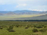 Epidémie : un cas de peste bubonique découvert en Mongolie intérieure