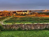 Coronavirus en Bretagne : port du masque obligatoire sur les marchés et les îles du Finistère