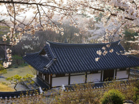 Covid : Japon, Corée du Sud, États-Unis... ces pays qui font face à une troisième vague