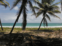 Covid : en Martinique, de nouvelles mesures annoncées face à l’explosion du nombre de cas