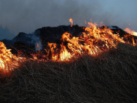 Essonne : incendie en forêt de Sénart, circulation perturbée sur la route nationale 6