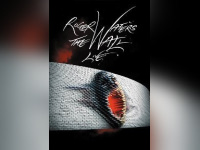 Roger Waters The Wall Stade de France 2013