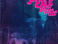 John Cale en concert au Trianon en 2013