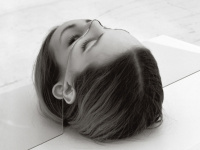 The National en concert au Zénith de Paris en novembre 2013