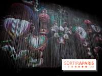 Björk en concert à l’Accor Arena de Paris : on y était, on vous raconte 